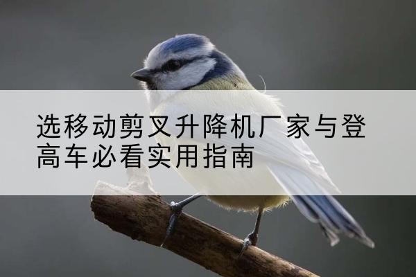 米脂电动升降机厂家-选移动剪叉升降机厂家与登高车必看实用指南