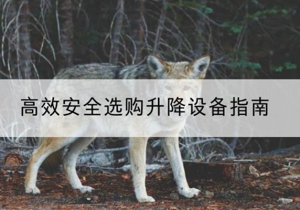 米脂升降货梯厂家推荐-*安全选购升降设备指南