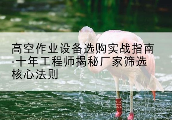 米脂剪叉式升降机厂家-高空作业设备选购实战指南-十年工程师揭秘厂家筛选核心法则